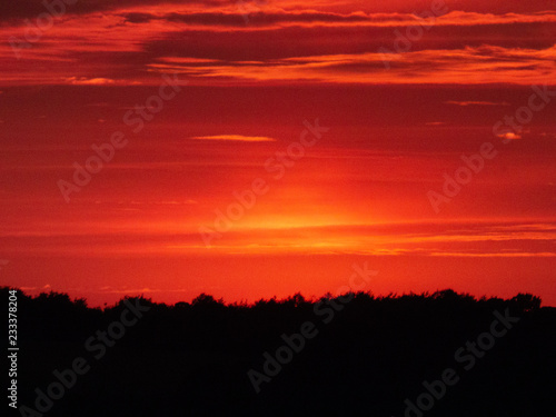 Obraz na plátne Red Sky at Night