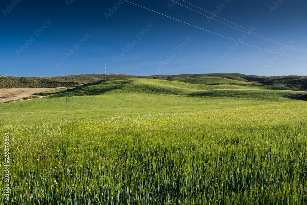 Obraz premium Sloping hills in Spane