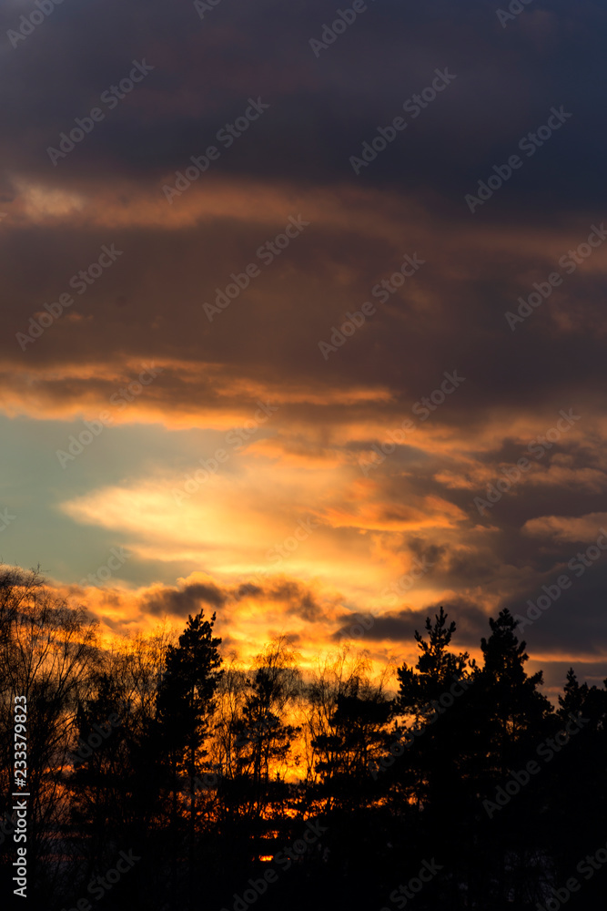 Obraz premium Sunset