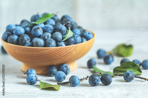 Autumn harvest blue sloe berries on a light wooden table background