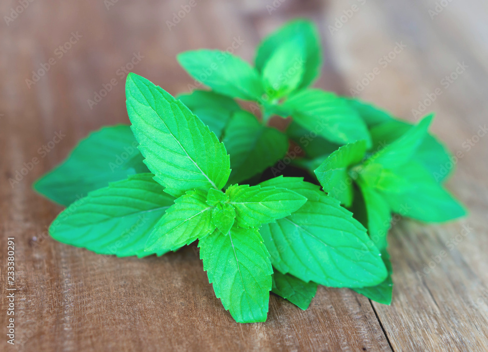 Closeup fresh mint on wood table background, herb and medical concept, selective focus Closeup fresh mint on wood table background, herb and medical concept, selective focus