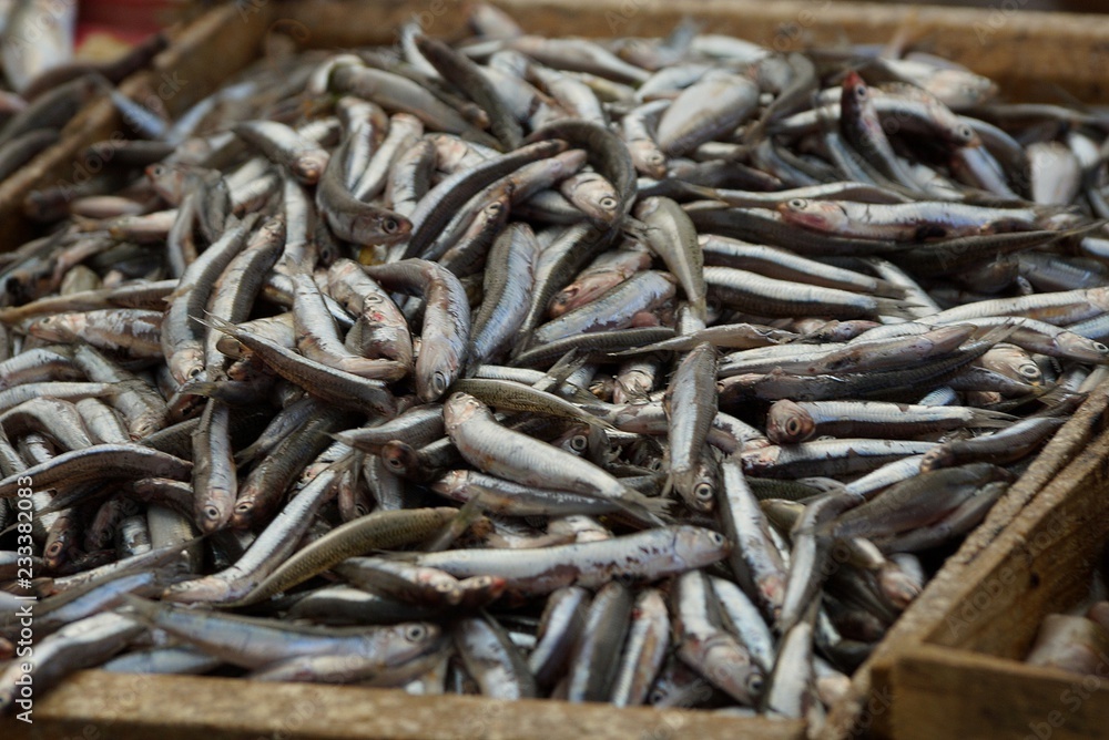 natural texture of small salted marine fish in a heap in a box natural texture of small salted marine fish in a heap in a box