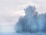 Piękny biały zimowy krajobraz