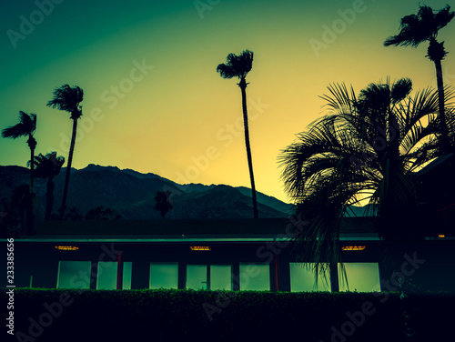 Mountains, Palm Trees and Motel Lights in Palm Springs at Sunset