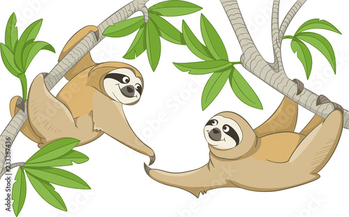 Two smiling animals sloths hang on the branches of trees and stretch their paws to meet each other. Vector on a transparent background
