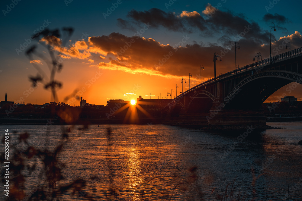 Naklejka premium Autumn Afternoon Sunlight