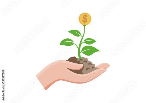 Isolated green sprout with flower coins money growing in hand