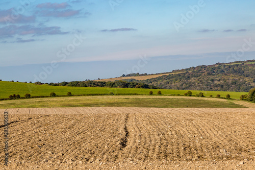 A South Downs autumnal landscape  on a sunny day
