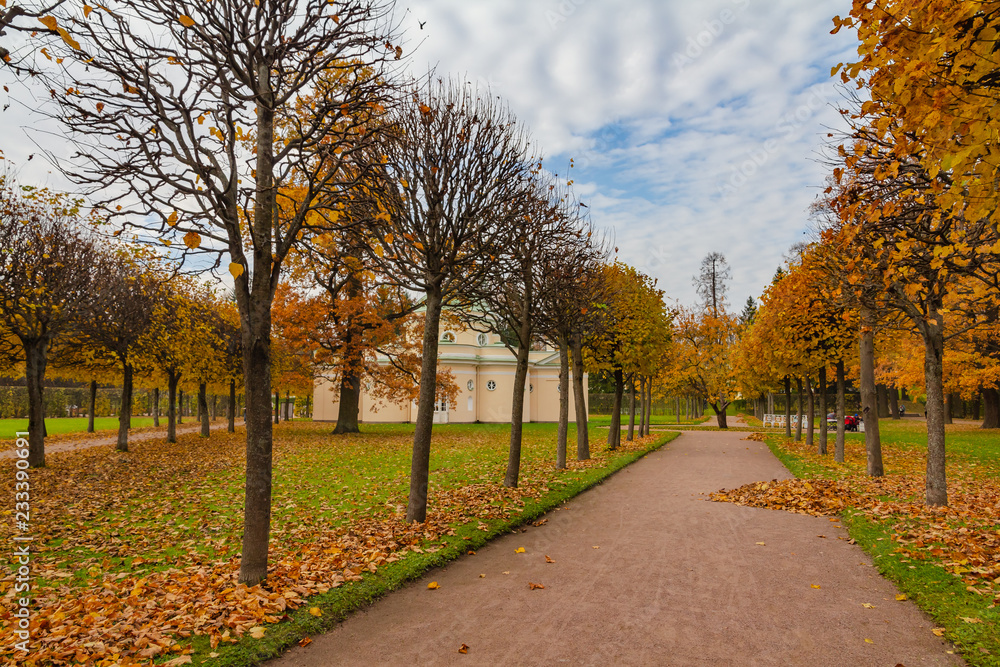Autumn. Park Alley. Catherine Park. Pushkin, St. Petersburg, Russia