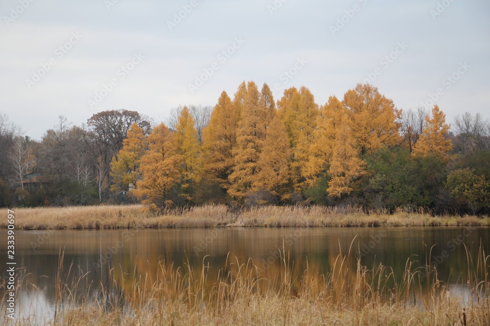 Fototapeta premium lake in autumn