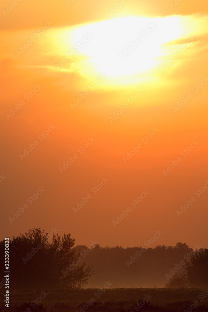 Spring sunrise landscape over the meadows along the Vistula river in Mazovia region in Poland.