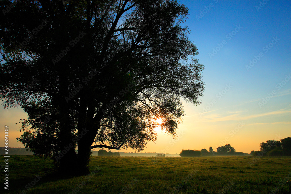 Spring sunrise landscape over the meadows along the Vistula river in Mazovia region in Poland.