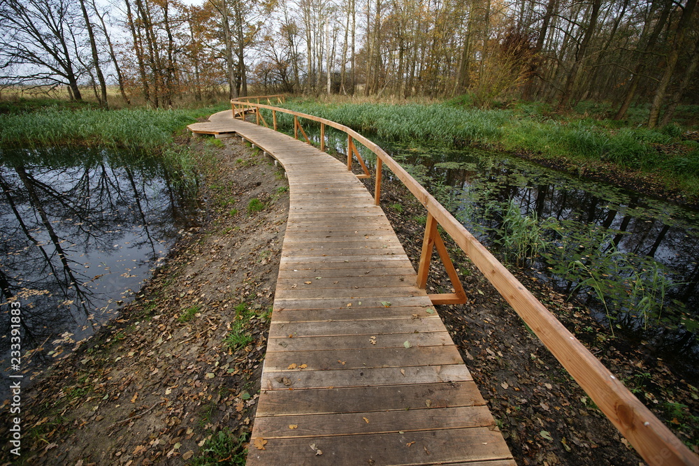 Feuchtgebiet,Bohlenweg,Naturschutzgebiet Feuchtgebiet,Bohlenweg,Naturschutzgebiet