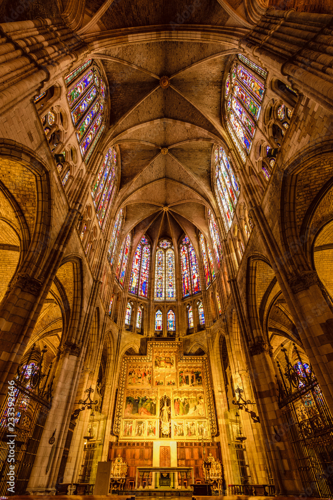 Obraz premium Catedral de León