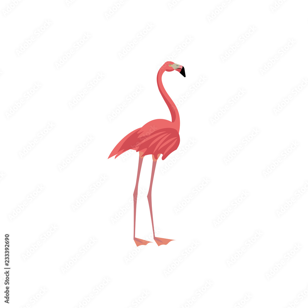 Obraz premium Vector illustration. Cartoon style icon of flamingo. Cute character for different design.