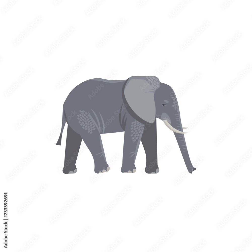 Vector illustration. Cartoon style icon of elephant. Cute character for different design.