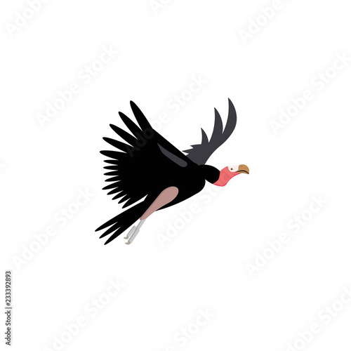 Vector illustration. Cartoon style icon of vulture. Cute character for different design.