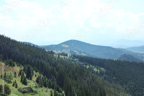 Beautiful landscape with forest and mountain slopes