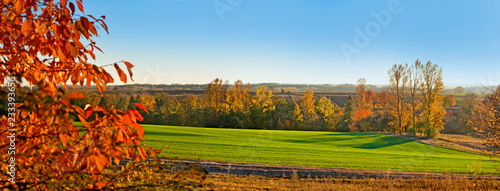 Red leaves with glowed of sunset at colorful trees with yellow leaves and green field © pavlobaliukh