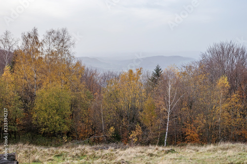 Autumn forest in the mountains.