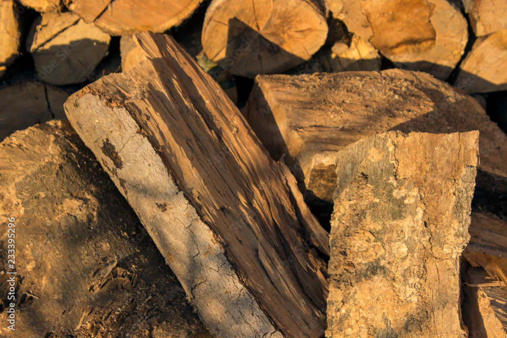 Naklejka premium texture of wood
