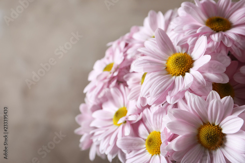 Beautiful chamomile flowers on color background  closeup. Space for text