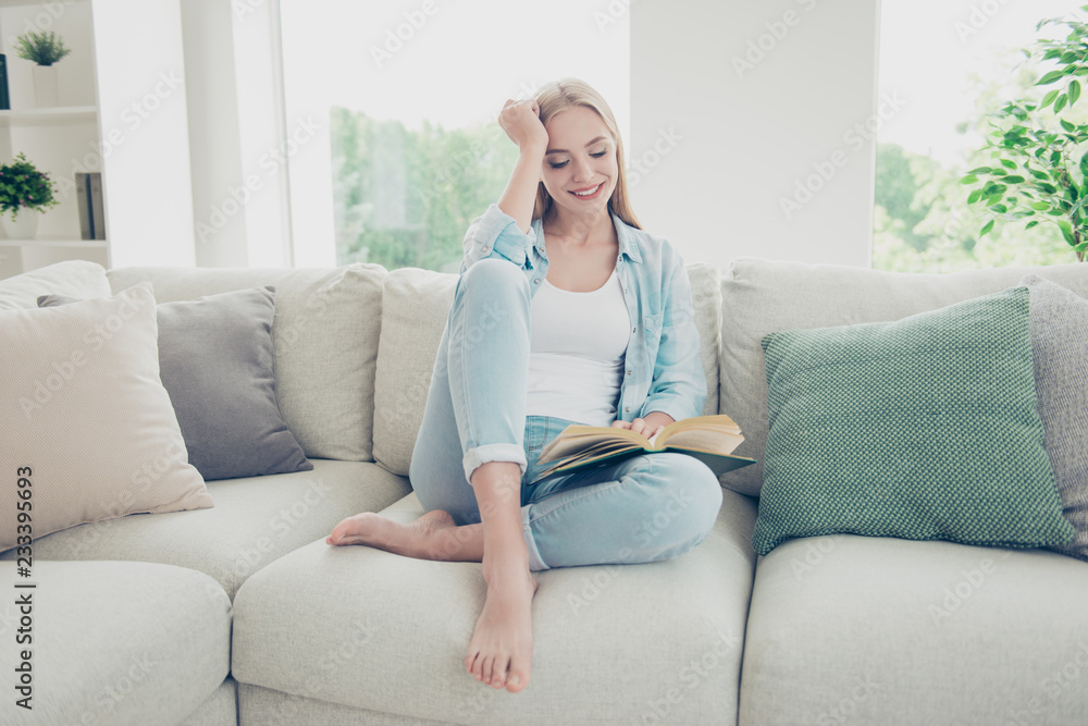 Cozy cosy smart clever intelligence concept. Cute sweet lovely c Cozy cosy smart clever intelligence concept. Cute sweet lovely c