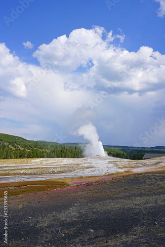 Eruption of the Old Faithful Geyser in Yellowstone National Park, Wyoming, United States