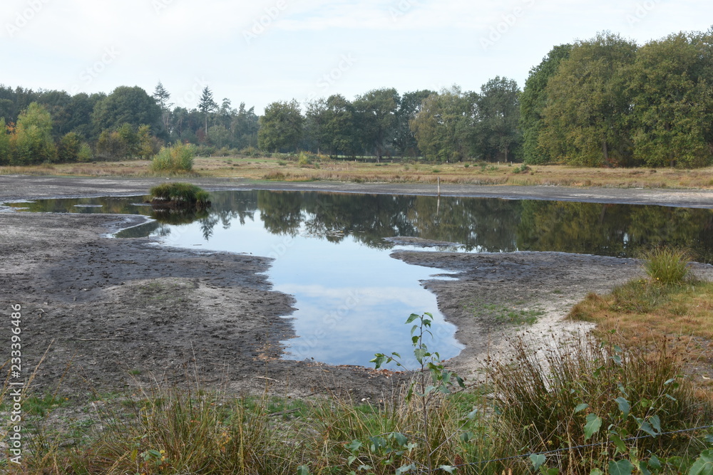 een droogstaand vennetje in de Kruisbergse Bossen aan het eind van de zomer van 2018 een droogstaand vennetje in de Kruisbergse Bossen aan het eind van de zomer van 2018