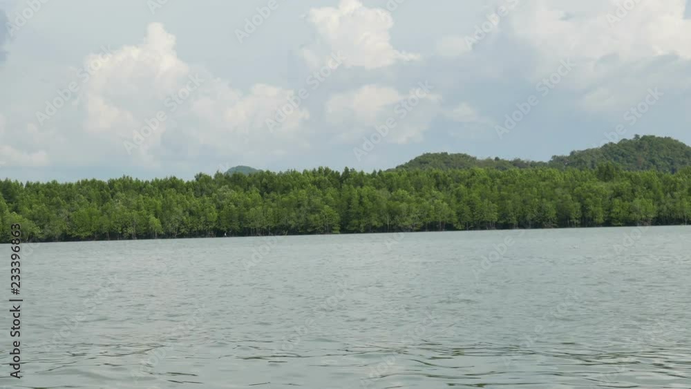 Mangrove forest along coastal area in Phangnga Bay national park, Thailand in summer for environment, relaxation, travel, journey, season and climate change concept Mangrove forest along coastal area in Phangnga Bay national park, Thailand in summer for environment, relaxation, travel, journey, season and climate change concept