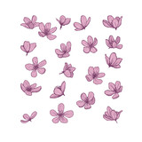 Pink blossom flowers isolated on white background. Pink blossom flowers isolated on white background.