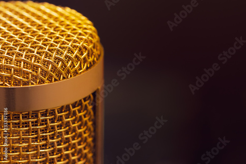 Close-up the head of condenser gold microphone left side of image. 