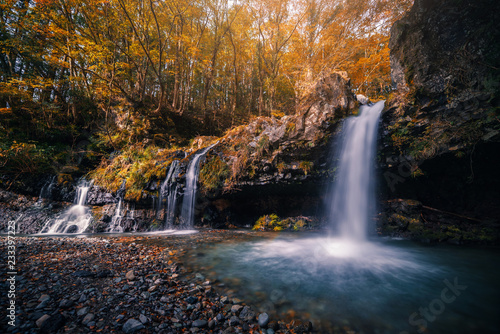 Fototapeta Naklejka Na Ścianę i Meble -  Waterfall with autumn foliage in Fujinomiya, Japan.