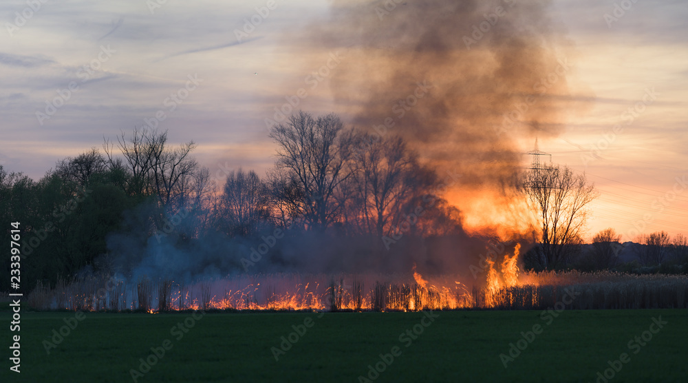 Field burning