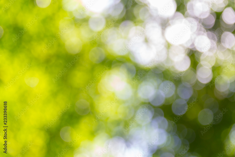 Natural green bokeh abstract background Natural green bokeh abstract background