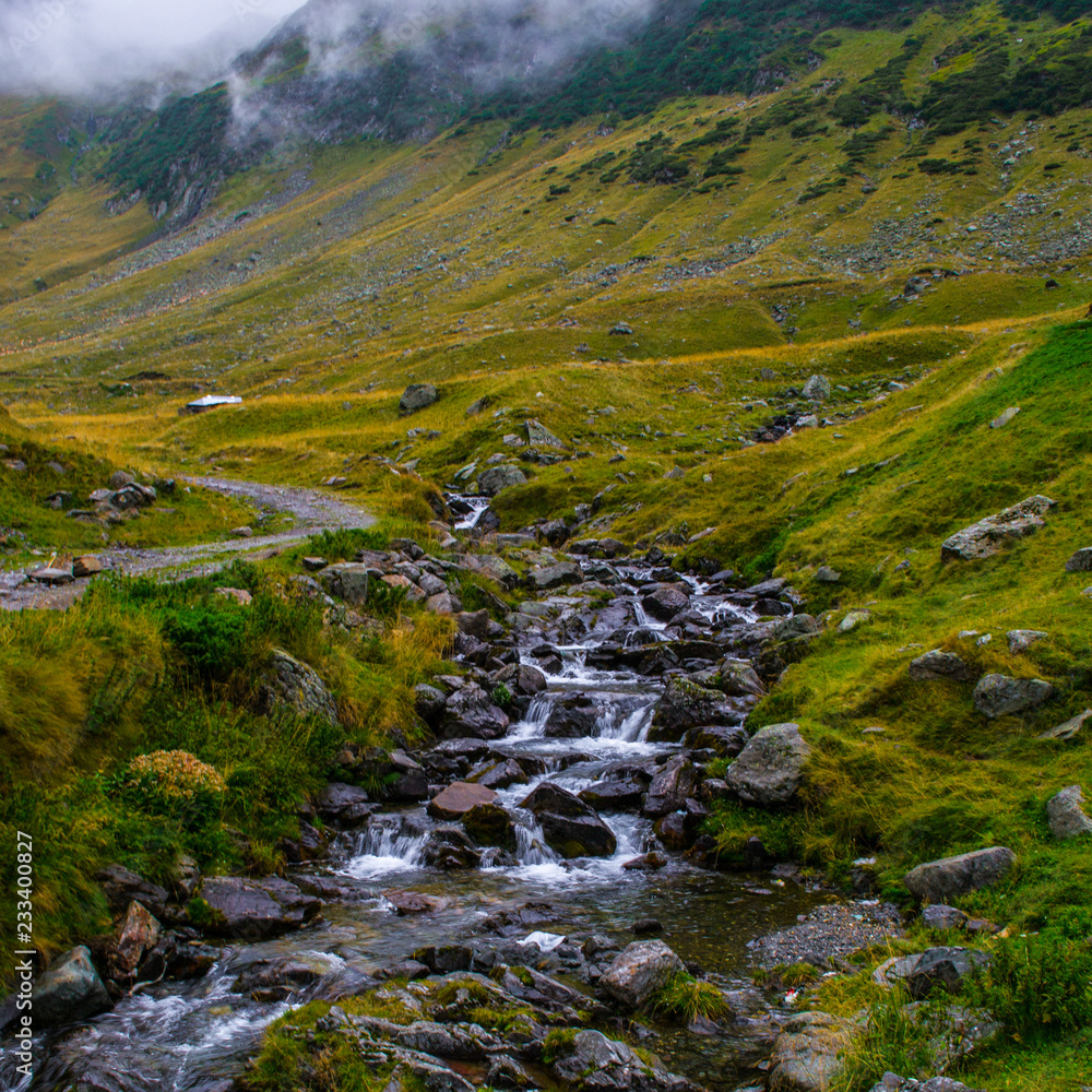 Stream in the mountains Stream in the mountains