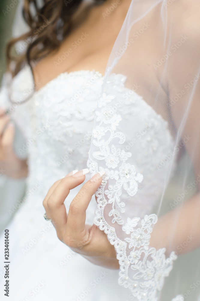 Bride in white wedding dress with lace veil Bride in white wedding dress with lace veil