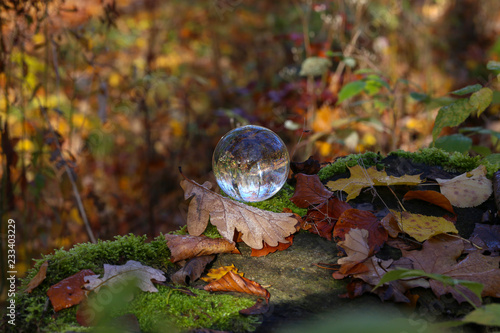 Autumn through a glass ball. Autumn compositions with glass bowl.