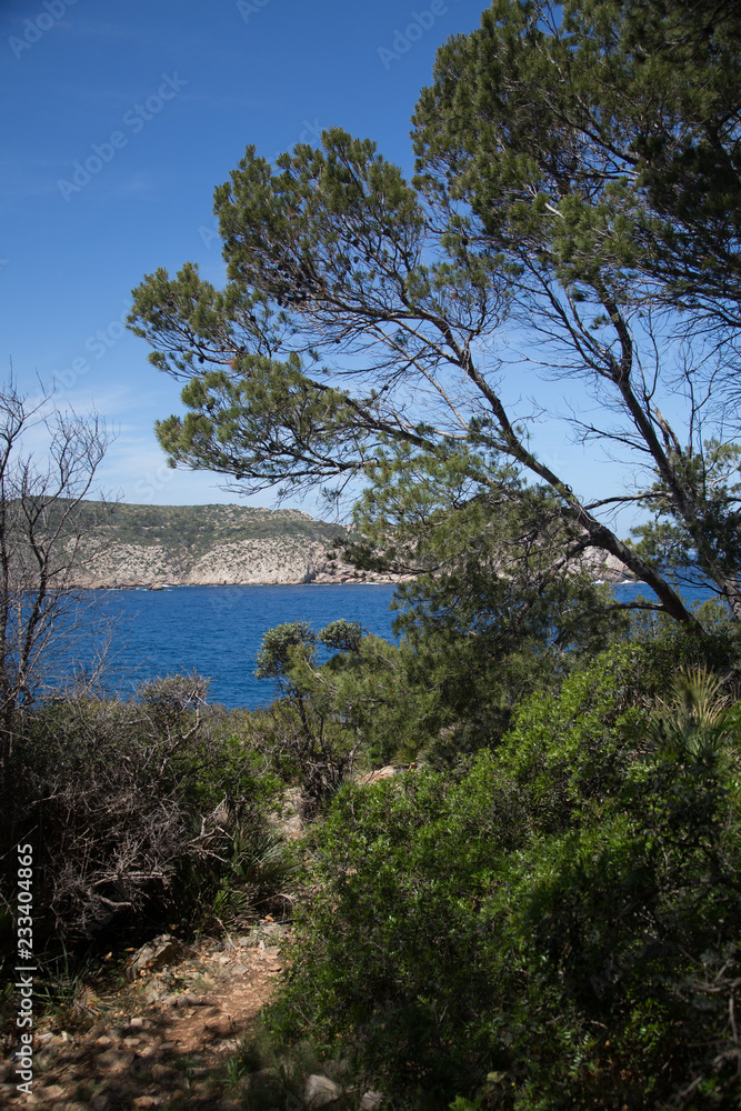 Majorcan walk Majorcan walk