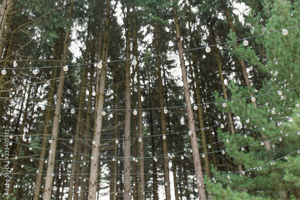 Fototapeta premium Forest Wedding String Lights