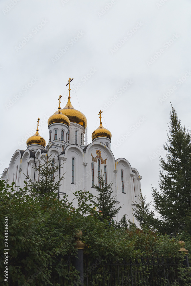 high Orthodox Cathedral of white color among green trees
