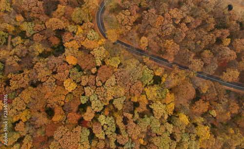 Aerial view at the road in ...
