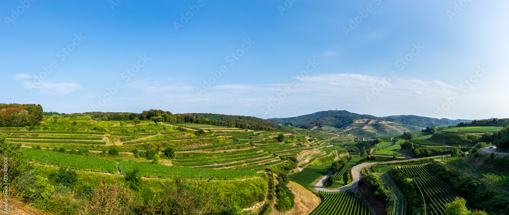 Obraz premium Germany, XXL panorama of vineyard nature landscape and terraces in Kaiserstuhl region