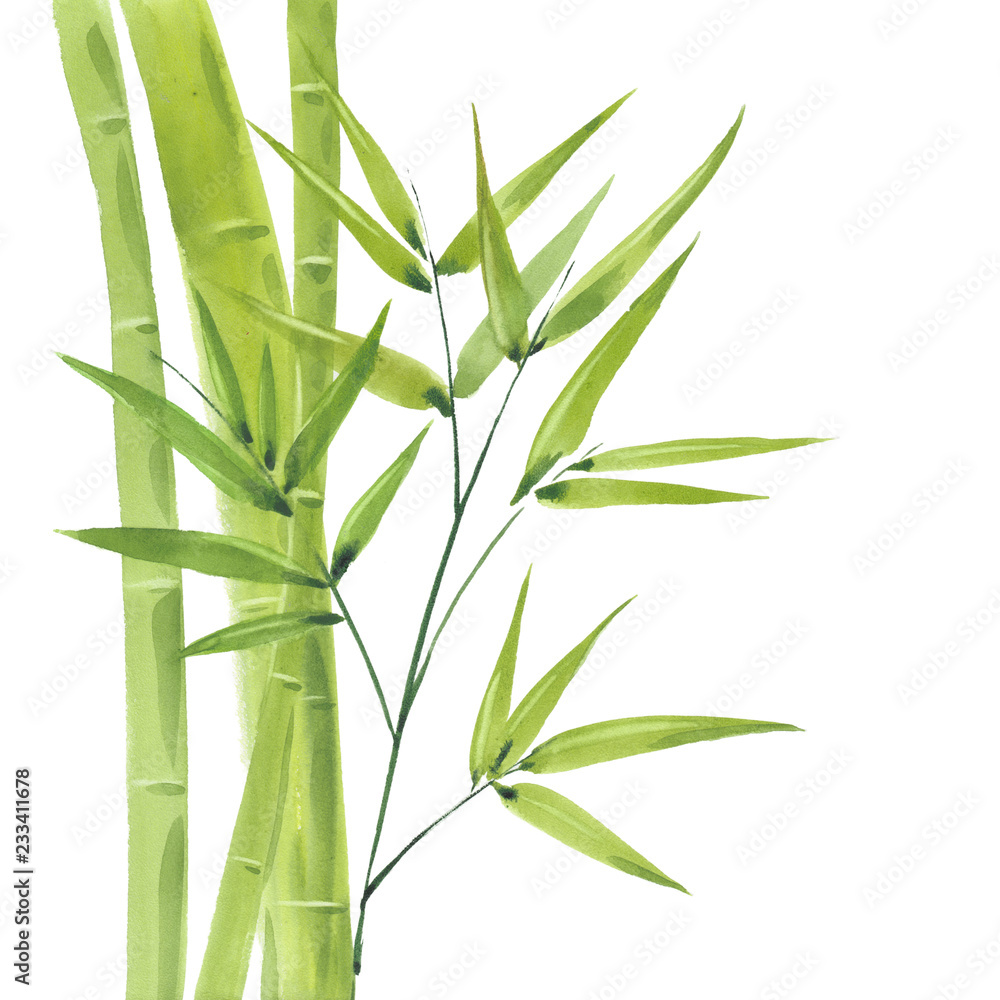 Naklejka premium watercolor green bamboo