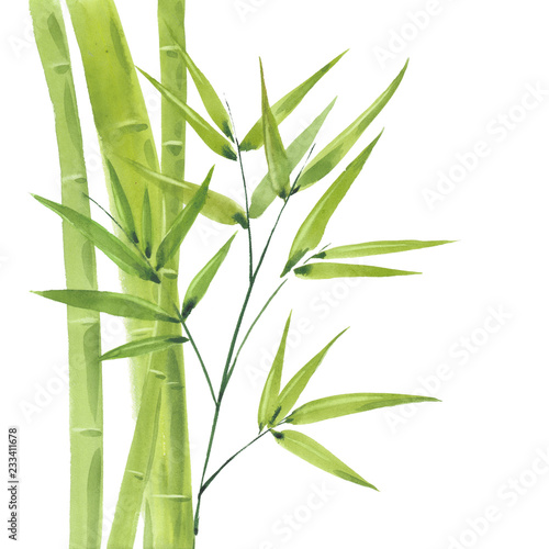 watercolor green bamboo