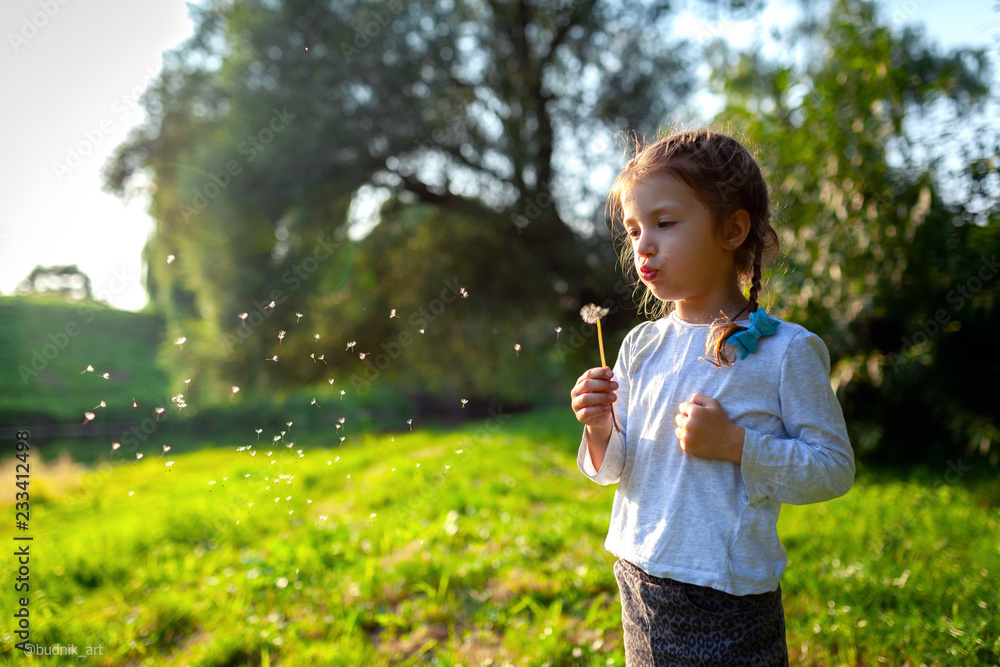 Little curly girl blowing dandelion.