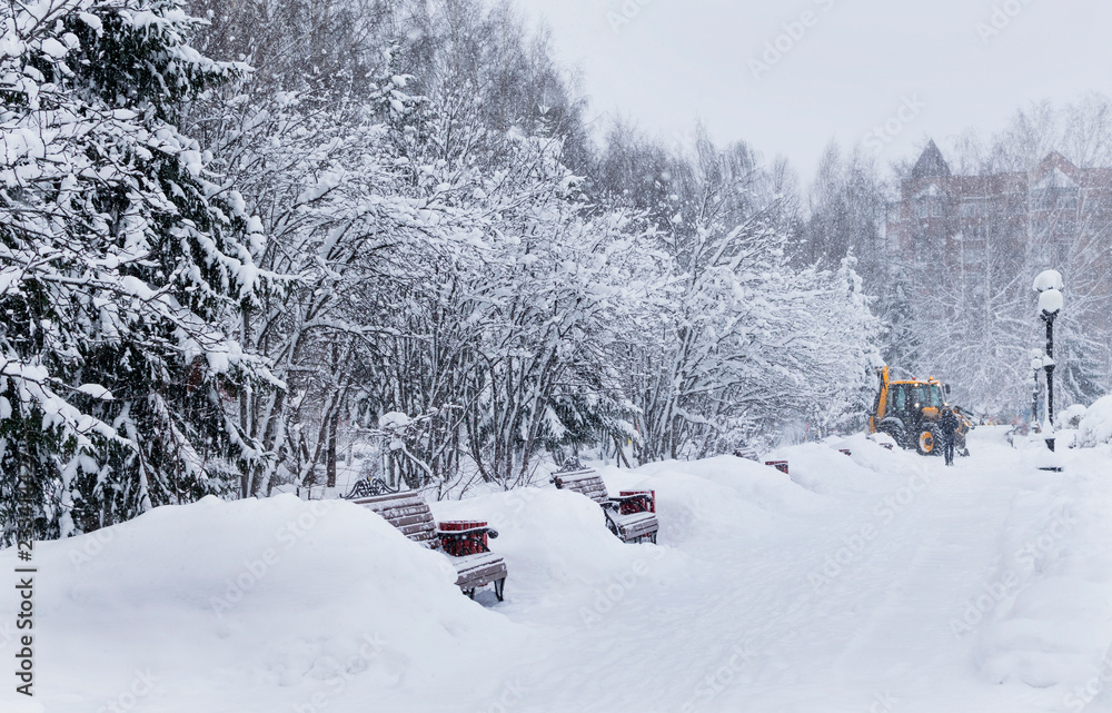 Obraz premium Snow removal in the winter park