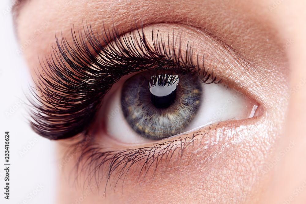 Obraz premium Female Eye with Extreme Long False Eyelashes. Eyelash Extensions. Makeup, Cosmetics, Beauty. Close up, Macro