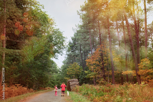 promenade d'automne en forêt