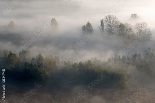 Panorama na mgłowym lesie, Włochy